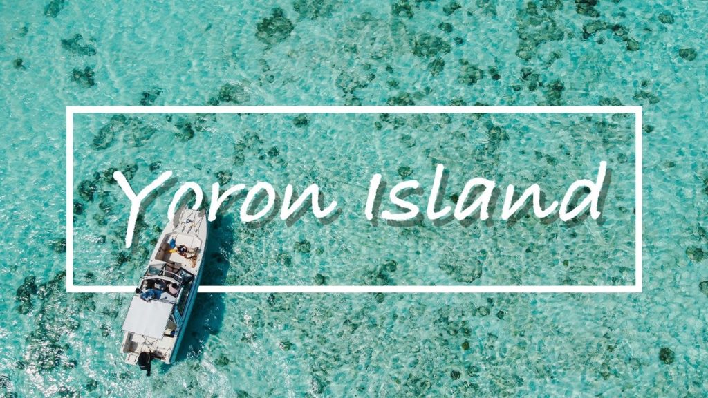 【Vlog】与論島トリップ〜Yoron Island〜 【Vlog】与論島トリップ〜Yoron Island〜
