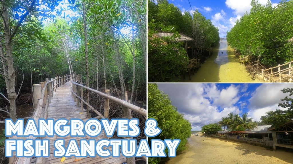TUBAJON AQUAMARINE PARK | LAGUINDINGAN MISAMIS ORIENTAL | MANGROVES & FISH SANCTUARY | TRAVEL VLOG