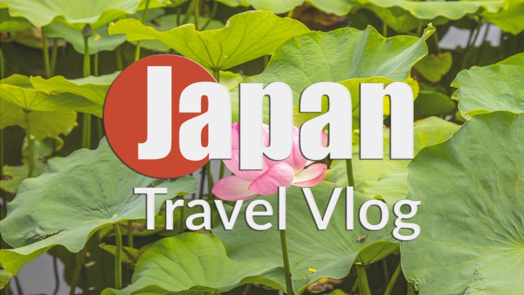 UENO PARK | JAPAN TRAVEL VLOG 04