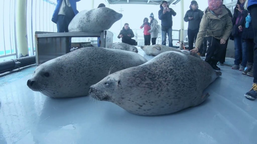 Hokkaido Japan VLOG | SAPPORO ASIHAKAWA MOMBETSU KITAMI ABASHIRI SAHORO