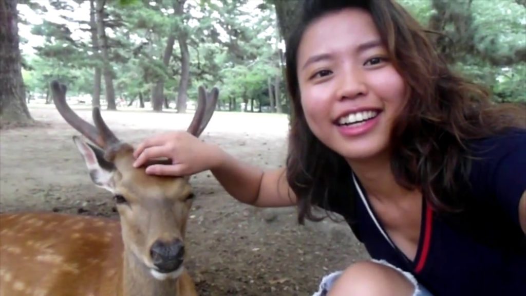 JAPAN: Osaka, Kyoto, Nara