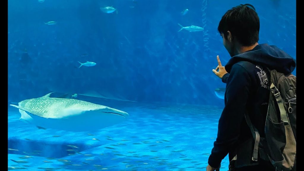 Kagoshima City Aquarium