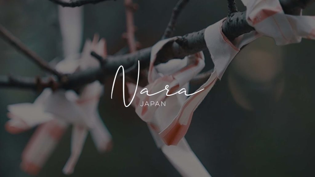 CINEMATIC TRAVEL VLOG: Japan - Nara