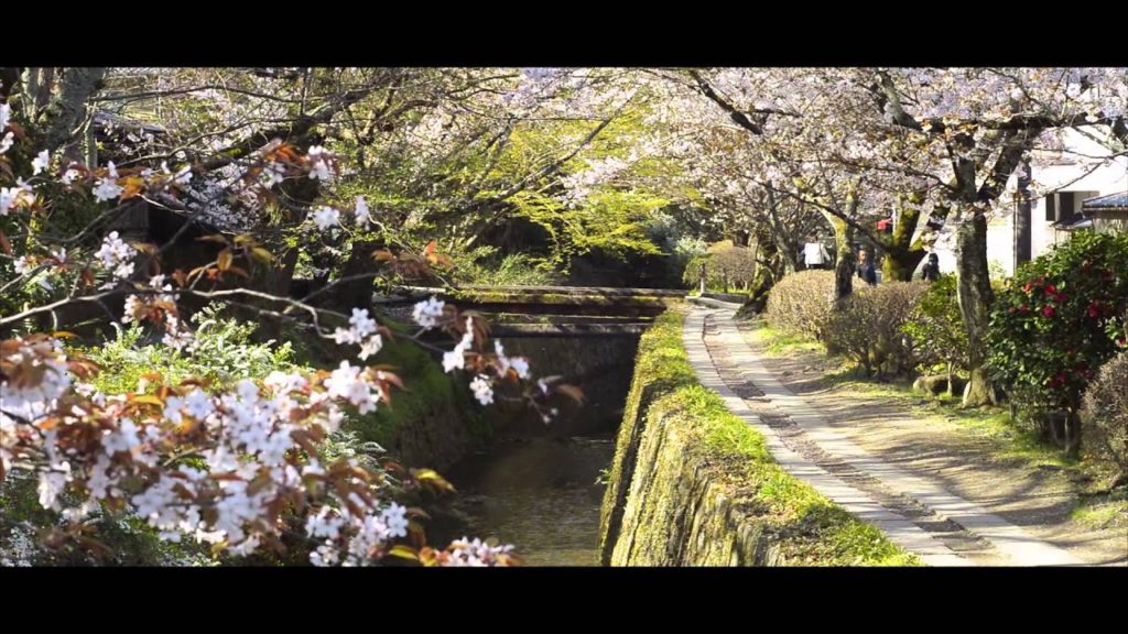 The Kyoto Network - Philosopher's Path