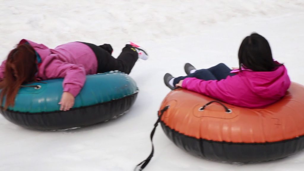 2016 Sapporo to Tokyo