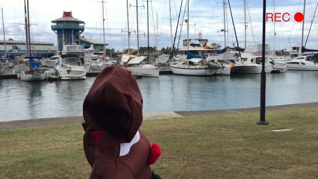 Vacation Migration Nomination