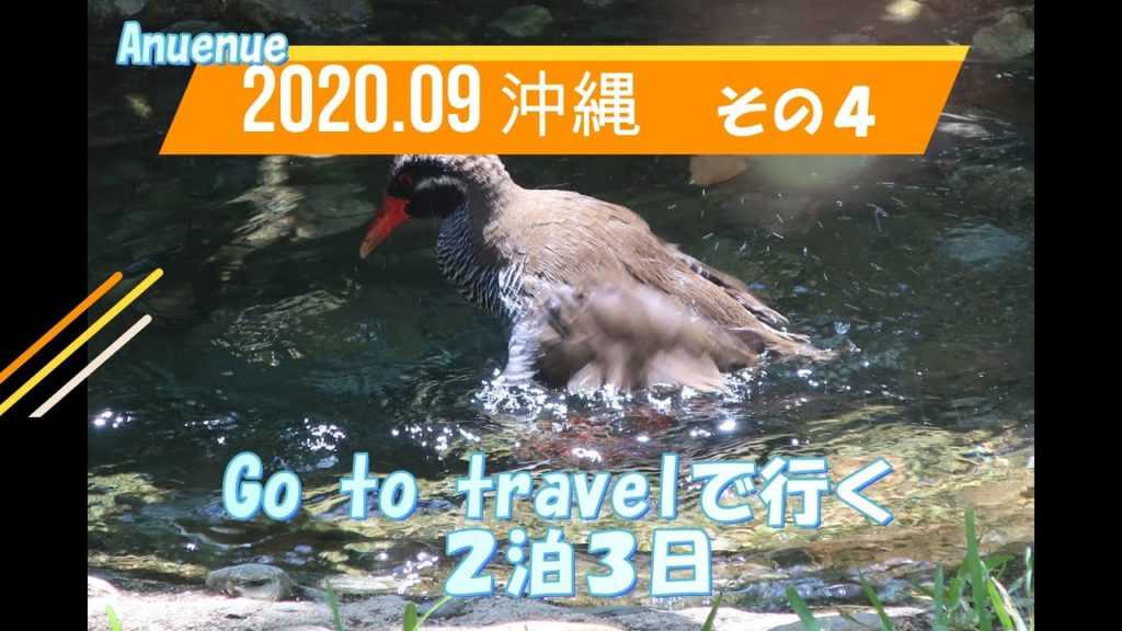 2020年9月　Go to travelで行く　沖縄　2泊3日　その4