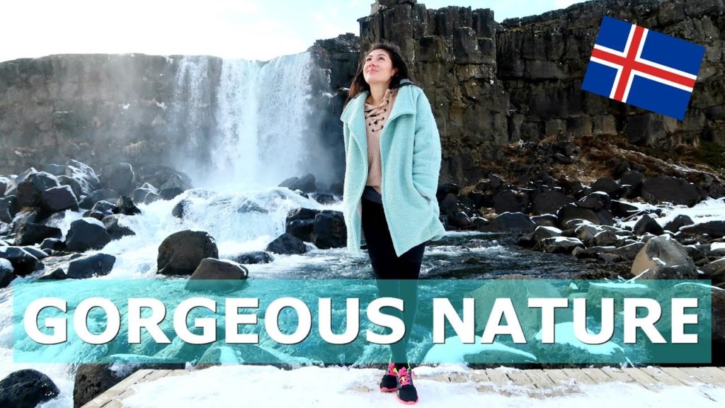ICELAND GOLDEN CIRCLE TOUR NATURE DAY  562 | TRAVEL VLOG IV ICELAND GOLDEN CIRCLE TOUR NATURE DAY  562 | TRAVEL VLOG IV