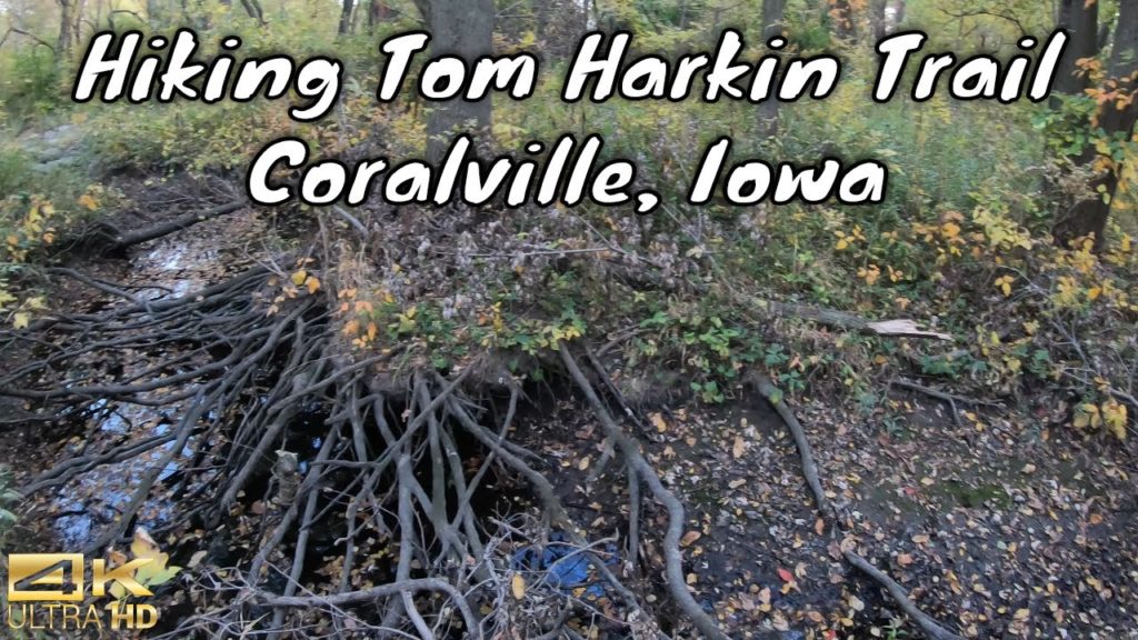4🅺60 Virtual Hiking Trail | Tom Harkin Trailhead | Coralville | w/ LadyK & BabyA (Oct. 10th, 2020) 4🅺60 Virtual Hiking Trail | Tom Harkin Trailhead | Coralville | w/ LadyK & BabyA (Oct. 10th, 2020)