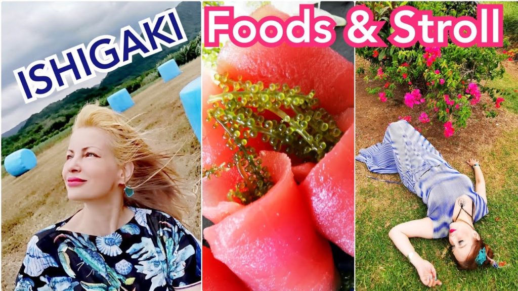 Adeyto + Mia 🏝️🥘 ISHIGAKI ISLAND FOODS & WALK @ ISHIZAKI Viewpoint MARCY Cafe UMARU Okonomiyaki YUI Adeyto + Mia 🏝️🥘 ISHIGAKI ISLAND FOODS & WALK @ ISHIZAKI Viewpoint MARCY Cafe UMARU Okonomiyaki YUI