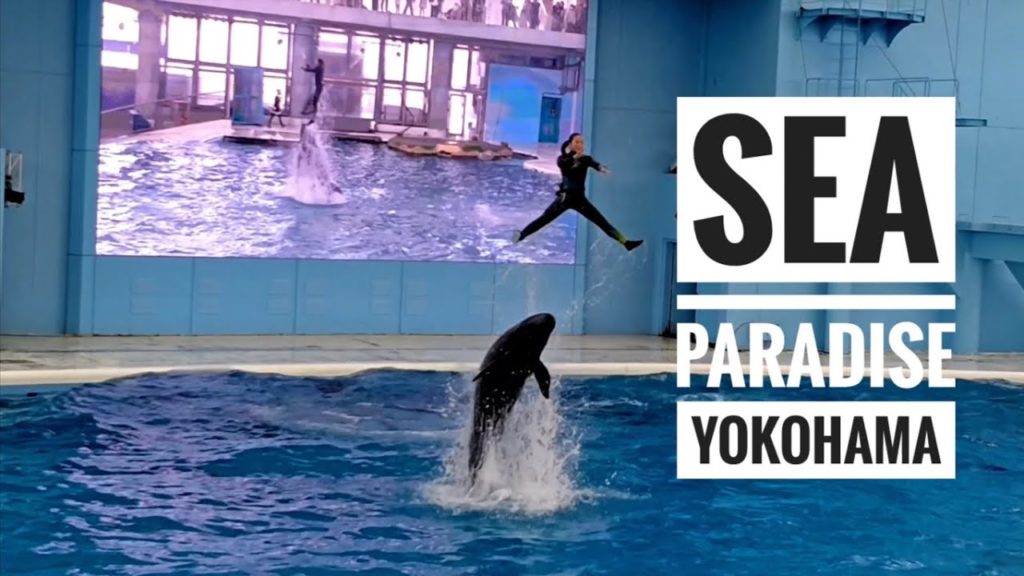 HAKKEIJIMA SEA PARADISE YOKOHAMA | DOLPHIN SHOW | JAPAN FAMOUS | TRAVEL VLOG | TAMIL | INIYAVATTAM HAKKEIJIMA SEA PARADISE YOKOHAMA | DOLPHIN SHOW | JAPAN FAMOUS | TRAVEL VLOG | TAMIL | INIYAVATTAM