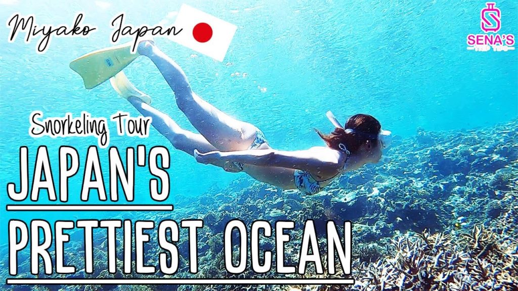 Snorkeling Tour at Japan's Prettiest Sea - Miyako Island,Okinawa Vlog｜日本一美しい海でシュノーケリング！