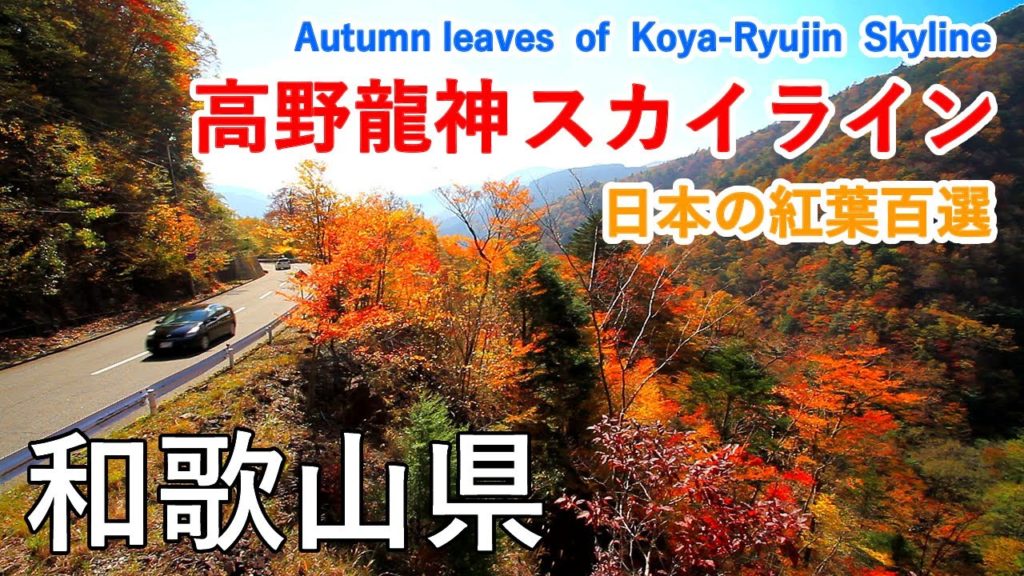 和歌山県 高野龍神スカイラインの紅葉（護摩壇山・ごまさんスカイタワー） / Koya-Ryujin Skyline ( Wakayama, Japan )【日本の紅葉絶景！】