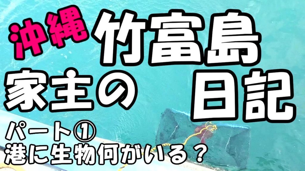 コロナの中の普通の沖縄離島生活・竹富島港に生物何がいる?パート1・希少食材・島バナナシェイク作ってみた!#43 コロナの中の普通の沖縄離島生活・竹富島港に生物何がいる?パート1・希少食材・島バナナシェイク作ってみた!#43