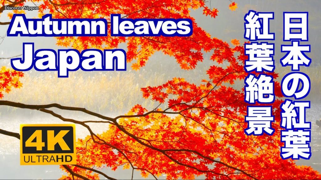 4K 日本の紅葉 京都 東京 日光 箱根 軽井沢 裏磐梯 観光 旅行 Autumn leaves in Japan Kyoto Tokyo Hakone Nikko color Season 4K 日本の紅葉 京都 東京 日光 箱根 軽井沢 裏磐梯 観光 旅行 Autumn leaves in Japan Kyoto Tokyo Hakone Nikko color Season