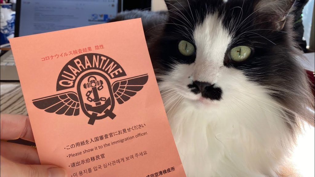 Travelling Back to Japan Under Covid 19 Restrictions | October 2020 Update