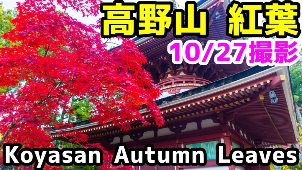 【2020/10/27最新情報】高野山の紅葉スポットおすすめ7選を、地元和歌山県民が紹介します！koyasan Autumn Leaves