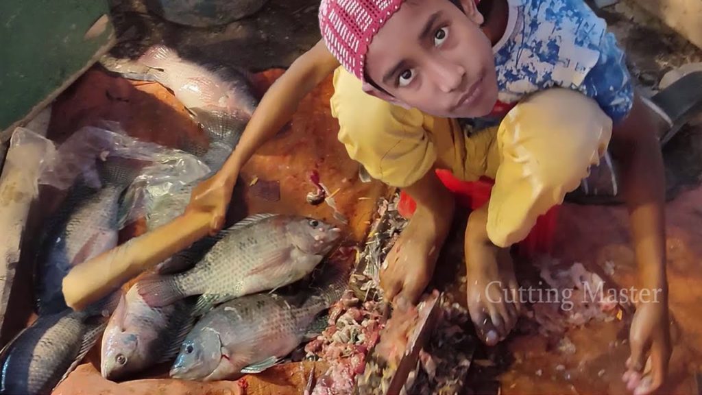 Small Boy Funny Tilapia Fish Cutting in Fish Market | Fastest Amazing Big Fish Cutting Skills Live Small Boy Funny Tilapia Fish Cutting in Fish Market | Fastest Amazing Big Fish Cutting Skills Live