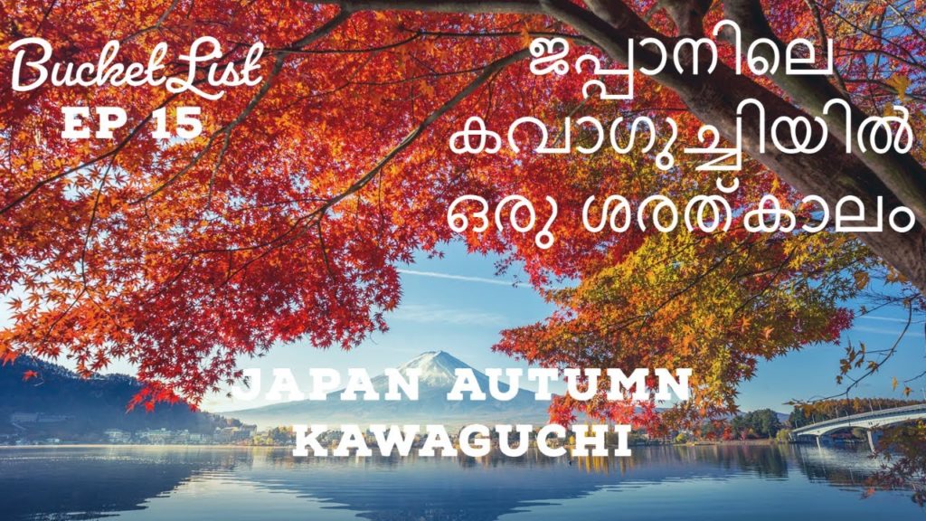 Japan Autumn I Kawaguchiko Malayalam Travel Vlog I Fuji I Momiji Tunnel Corridor I Yamanakako I Lake