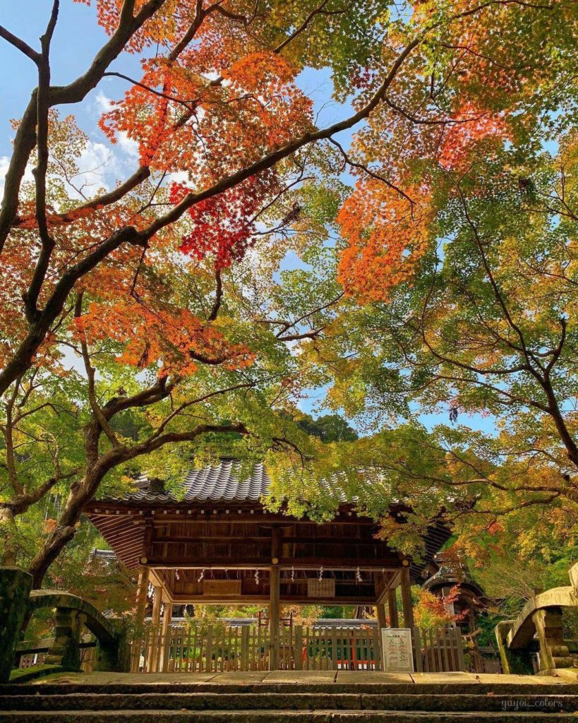 Japan Travel: Kyoto’s Kuwayama Shrine has a history dating back to the year 709,  and it’s a p… Kyoto's Kuwayama Shrine has a history dating back to the year 709,  and it's a p...
