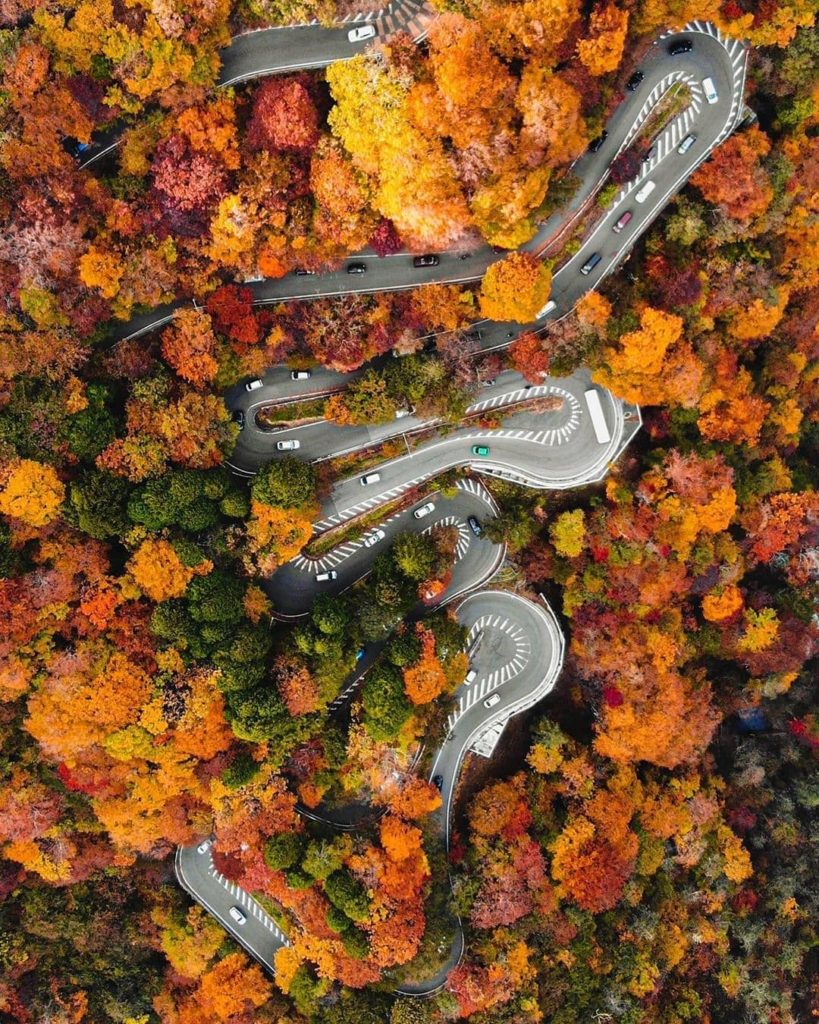 Visit Japan: When the road less travelled looks THIS much fun, we’ll take it! There are 48 t… When the road less travelled looks THIS much fun, we'll take it! There are 48 t...