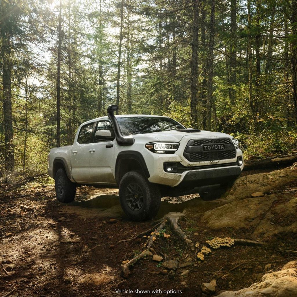 Conquer any mountain!  LED Fog Lights will help lead the way. #Tacoma #TRD #Lets...