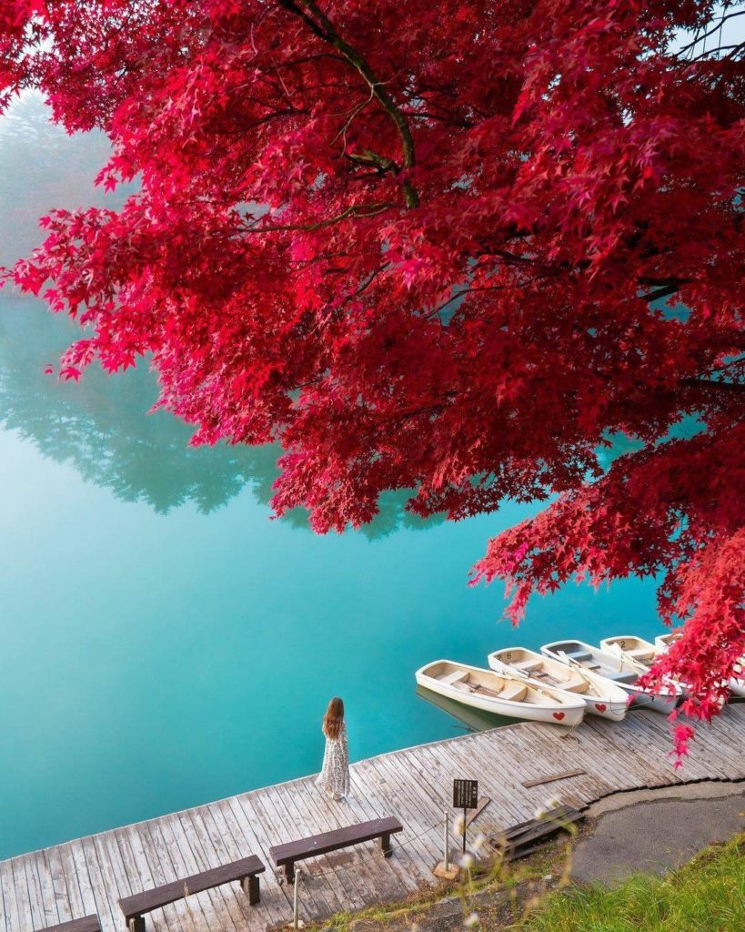 Japan Travel: Goshikinuma is the name of a is a cluster of five volcanic lakes in Fukushima Pr… Goshikinuma is the name of a is a cluster of five volcanic lakes in Fukushima Pr...