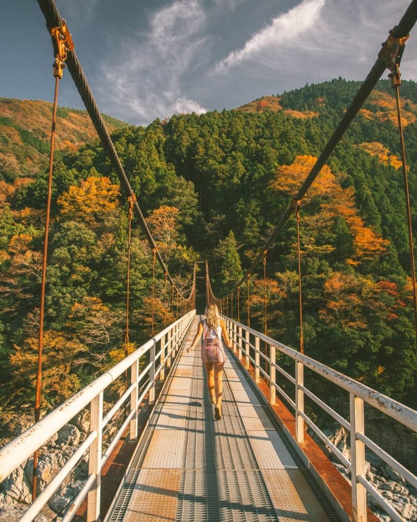 What’s your favourite memory of autumn in Japan? Or, if you haven’t been before,...