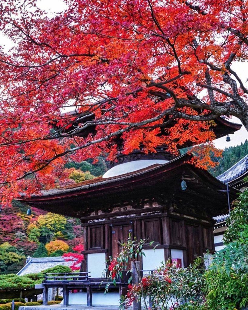 Yoshimine-dera in Kyoto was founded in 1029, and it's a popular spot to visit at...