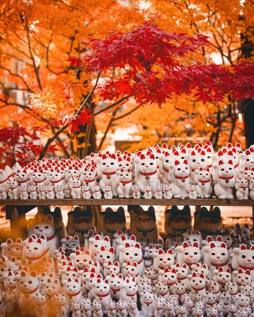 If you haven't already visited Tokyo's Gotokuji Temple, put it on your list for ...