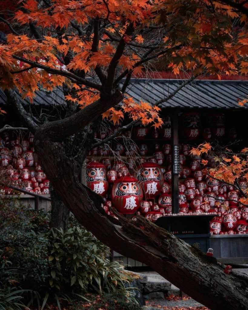 Japan Travel: The red color of the daruma dolls at Osaka’s Katsuo-ji Temple works nicely with … The red color of the daruma dolls at Osaka's Katsuo-ji Temple works nicely with ...