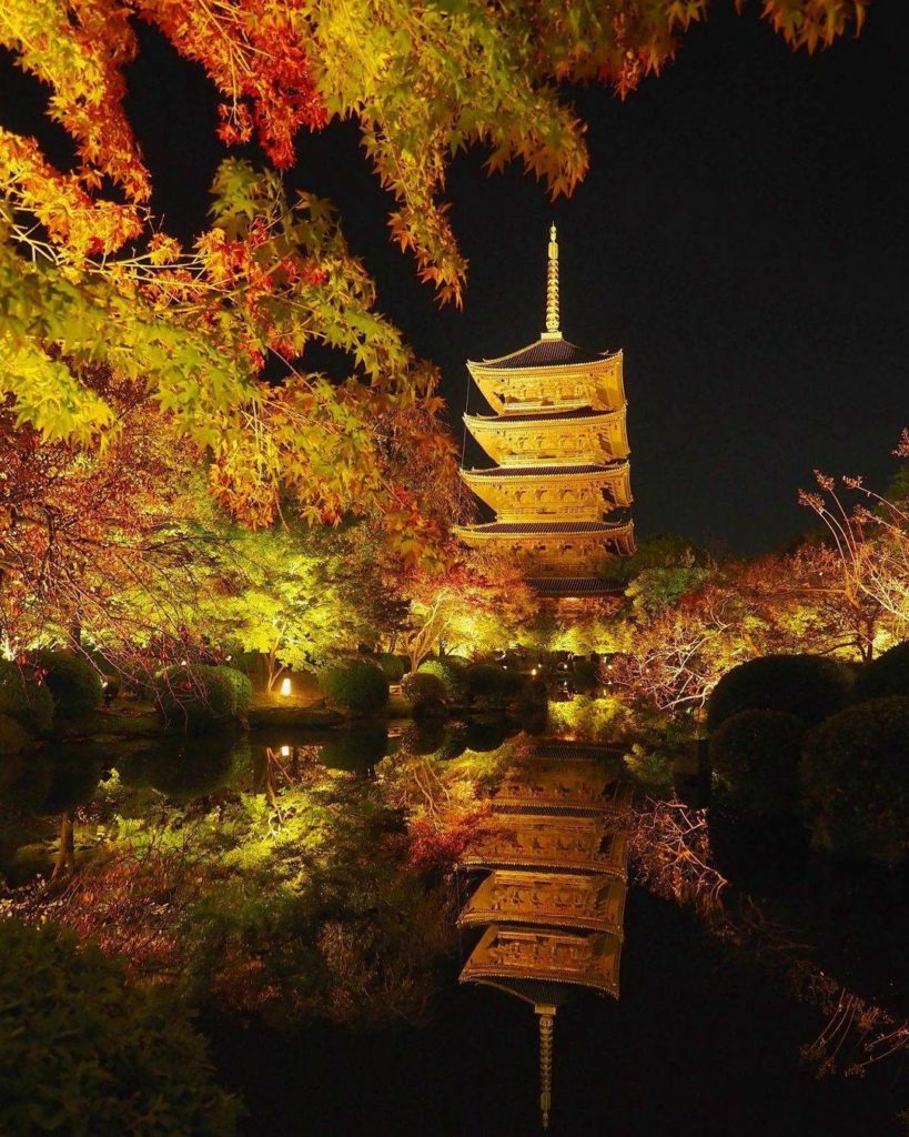 An 'autumn by night' delight at Kyoto's Toji Temple! As well as being a wonderfu...