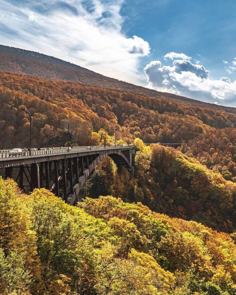 What an amazing autumn view! Jogakura Bridge in Aomori Prefecture measures 122 m...