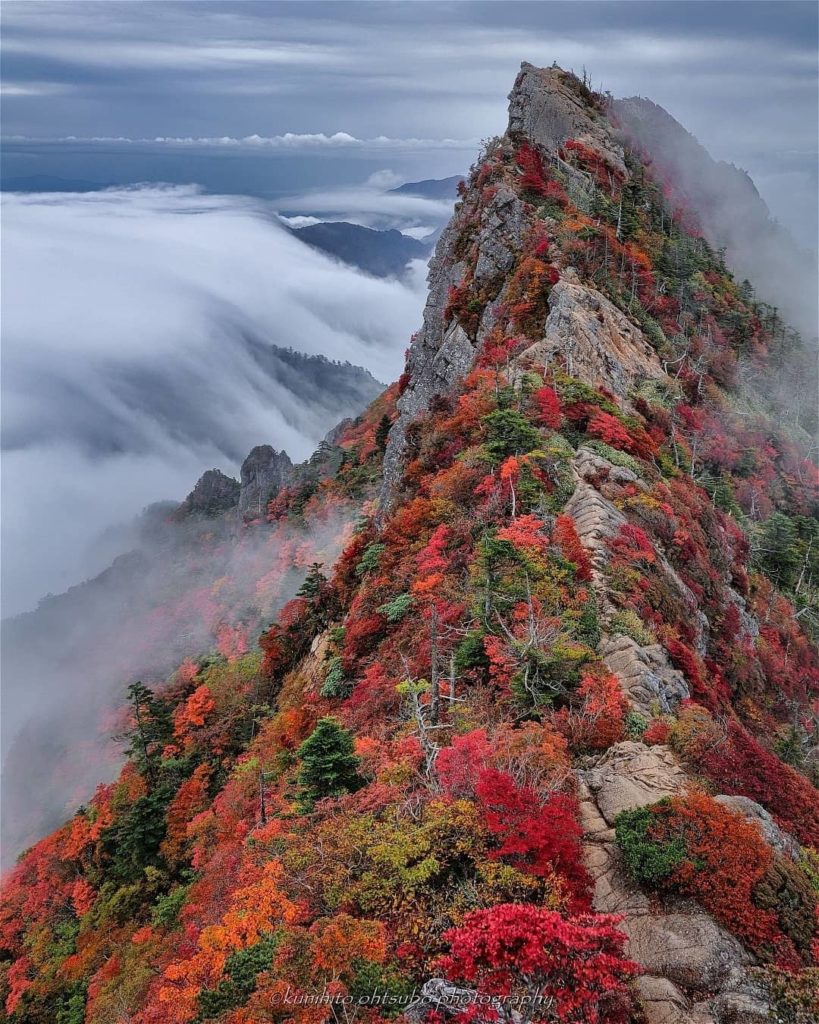 Unbe-LEAF-able!  This impressive autumnal view is 1982m high: Tengudake, one of ...