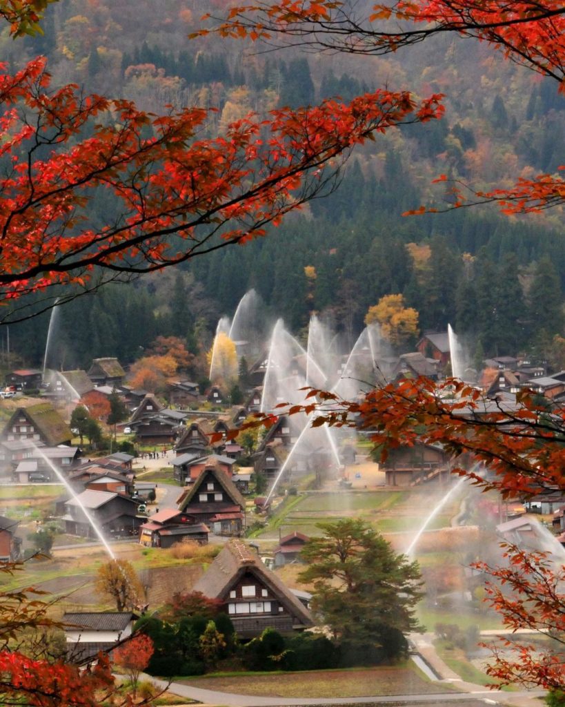 Have you ever seen a prettier fire drill than this? 
Every autumn amidst the cha...