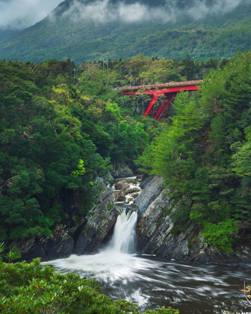 Yakushima Island is full of incredible sights such as the Jomon-sugi cedar trees...