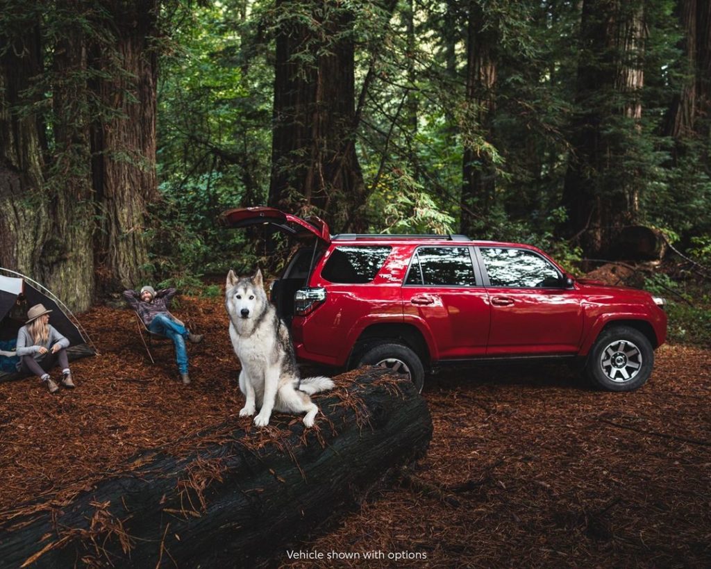 Oh hey there Little Red Riding Hood. @loki #4Runner #TRD Off-Road #LetsGoPlaces...