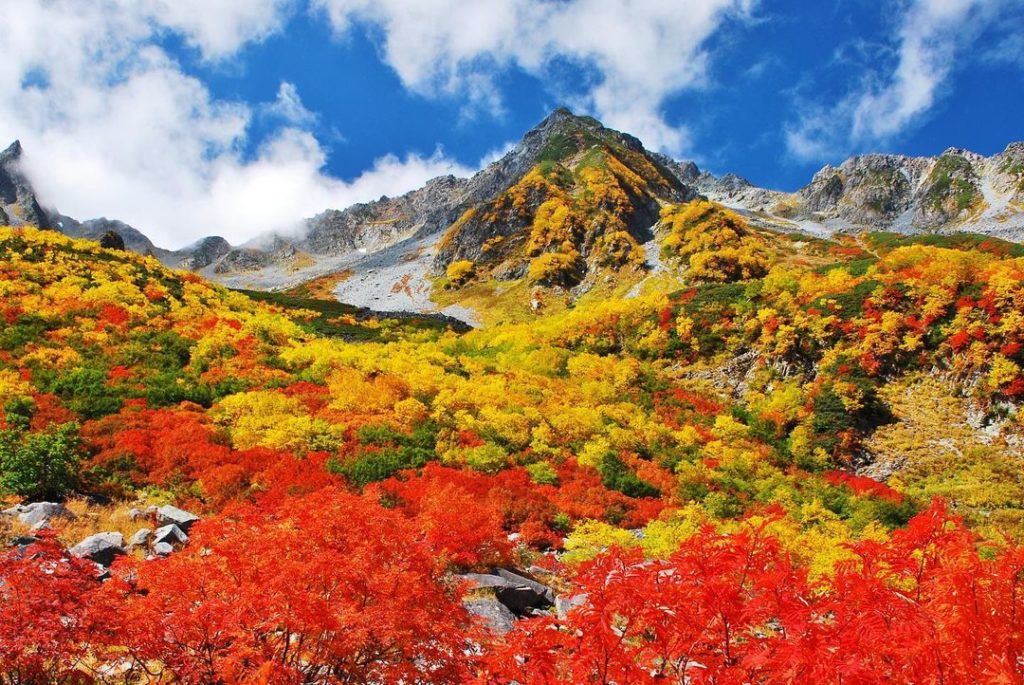 The Karasawa cirque is a 6-hour hike from Kamikochi where you will find some of ...
