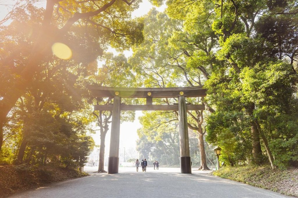 Although Meiji Jingu Shrine, which will celebrate its 100th anniversary this yea...