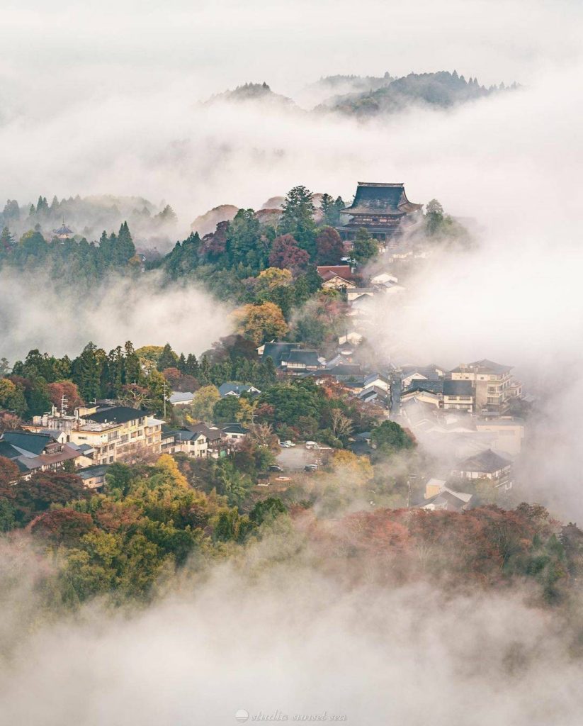 Autumn color from behind the clouds! Yoshinoyama in Nara Prefecture is gorgeous ...