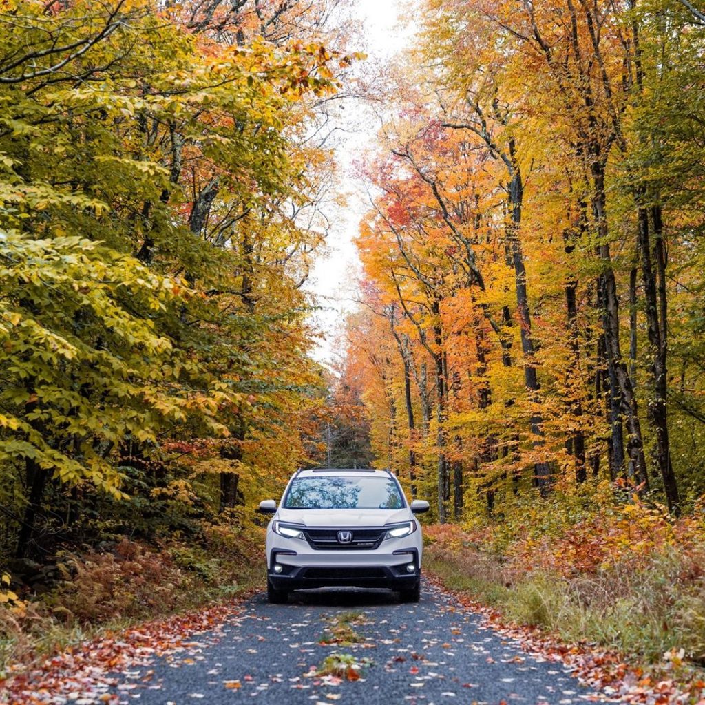 Feast your eyes. #HondaPilot...