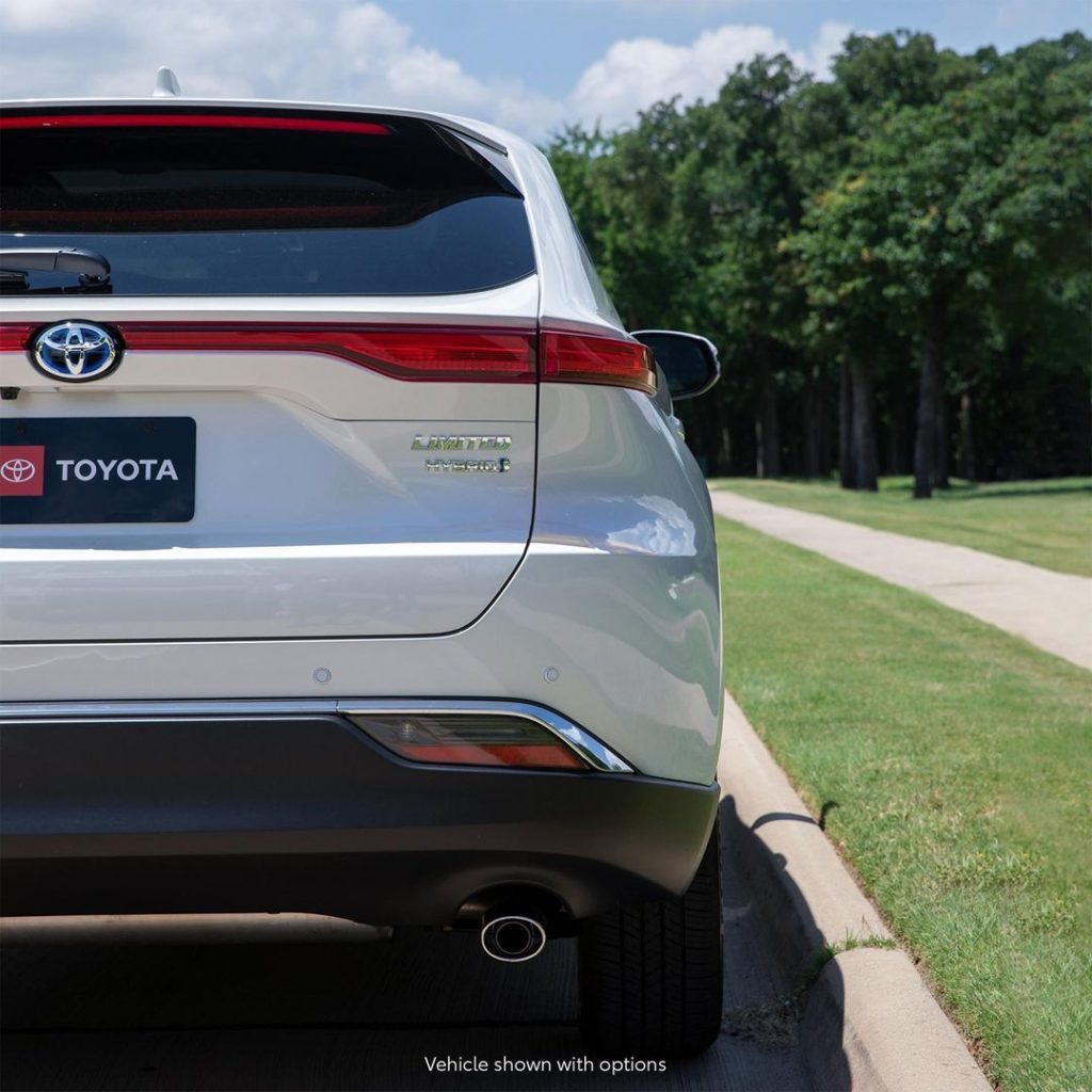 A force of nature to revel with.  #Venza #LetsGoPlaces...