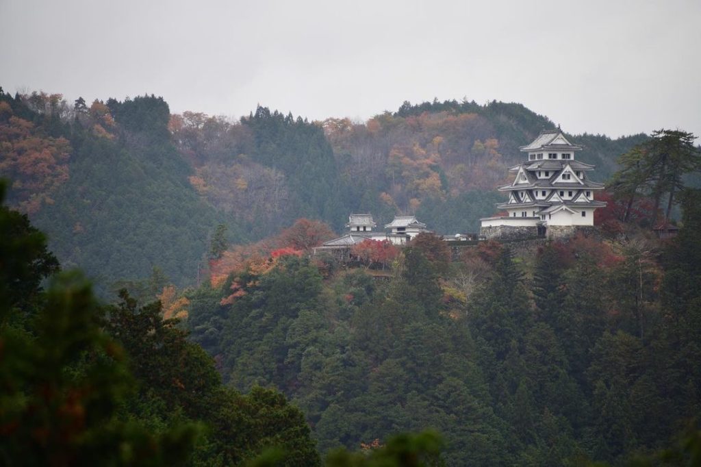 At the top of Mt. Hachiman is Japan’s oldest wooden castle known as Gujo Hachima...