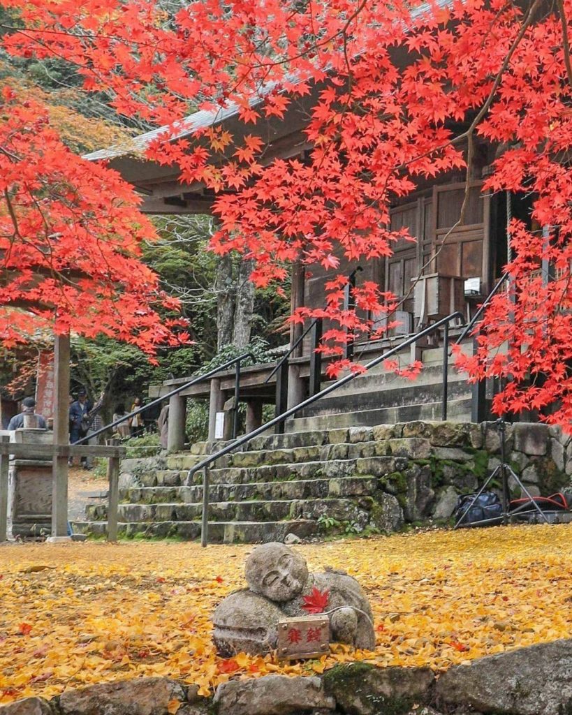 Hyogo's Taikokuji Temple is a delight in autumn, and even though it's a smaller ...