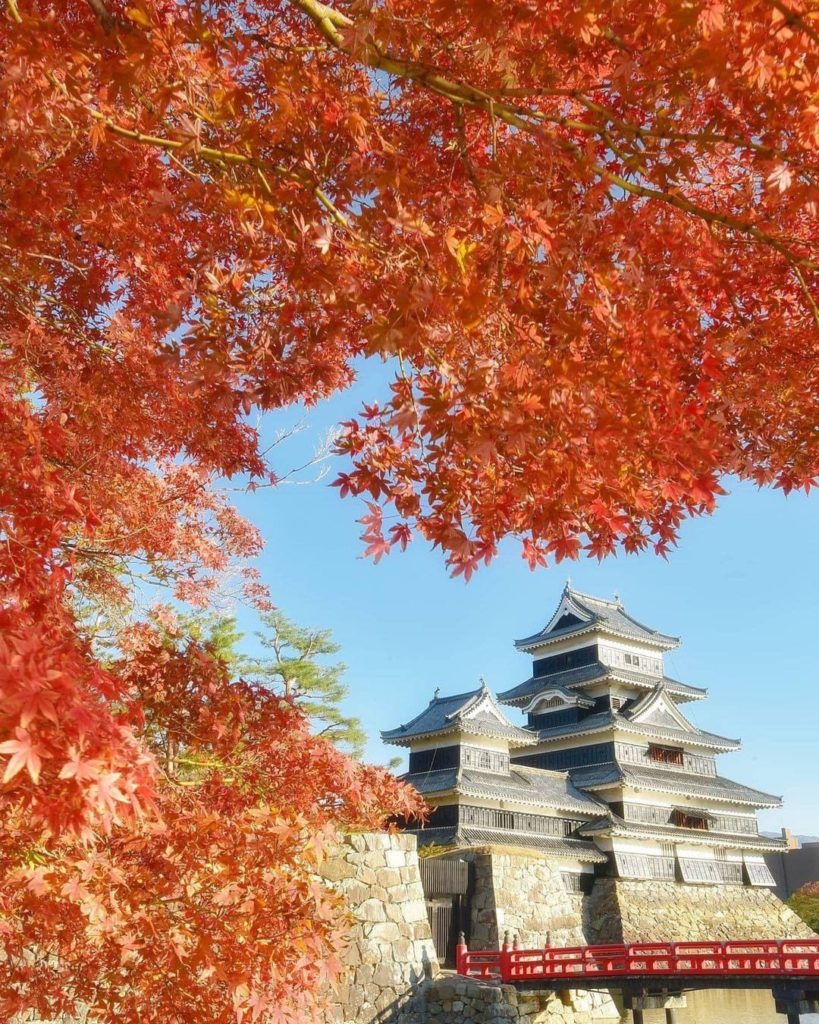 Visit Japan: Look at this gorgeous view of a castle decorated with autumn leaves!Often called… Look at this gorgeous view of a castle decorated with autumn leaves!Often called...