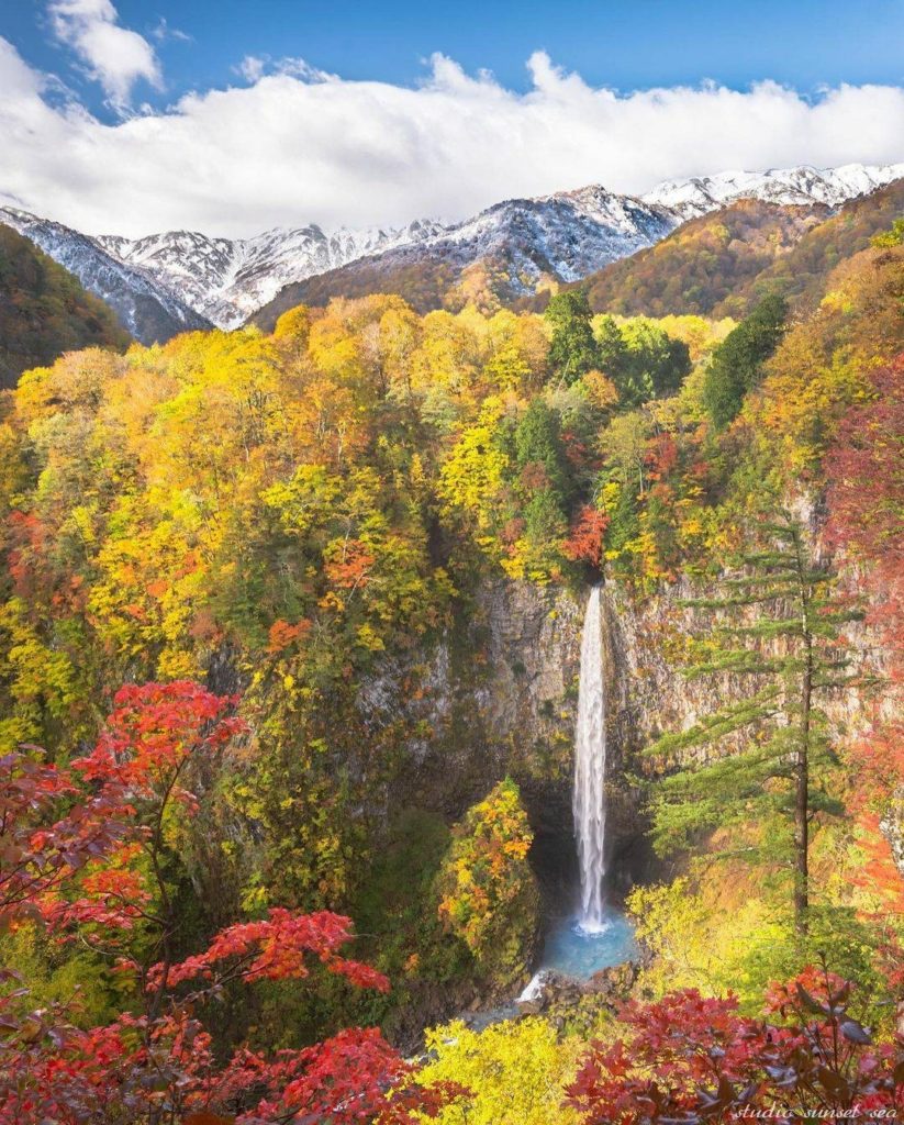 A big theme in our industry this year has been "dream now, travel later", and if...