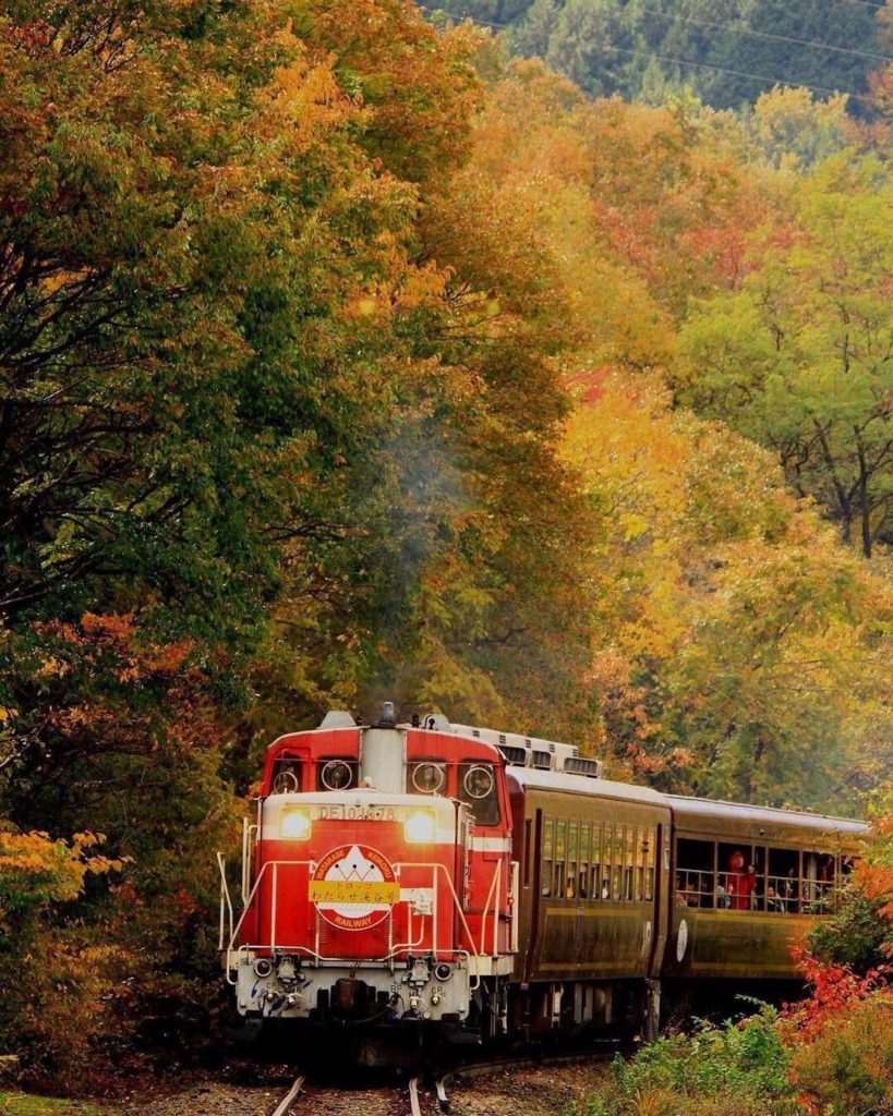 An autumn ride on board the Watarase Valley Railway trolley that runs along the ...