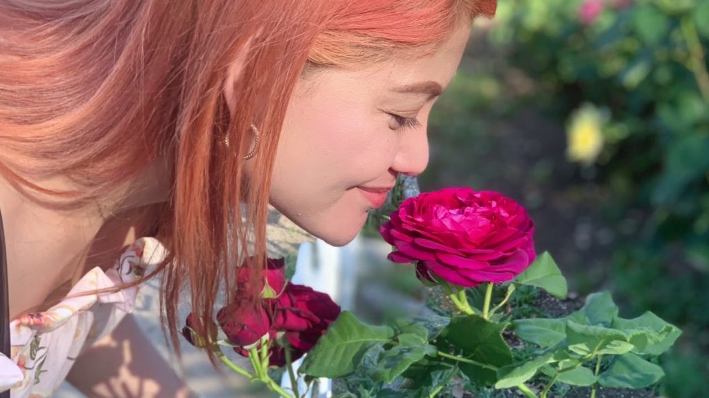 Destination Japan! Yey!