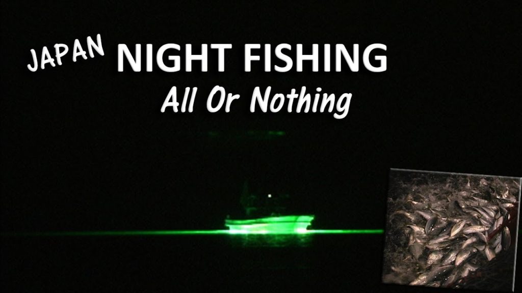 Night Fishing in Japan: Something's Down There, and it's HUGE. Night Fishing in Japan: Something's Down There, and it's HUGE.