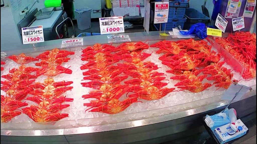 POV Japanese Fish Market Walking Tour (RAW) - NIIGATA - 魚のアメ横 - JAPAN